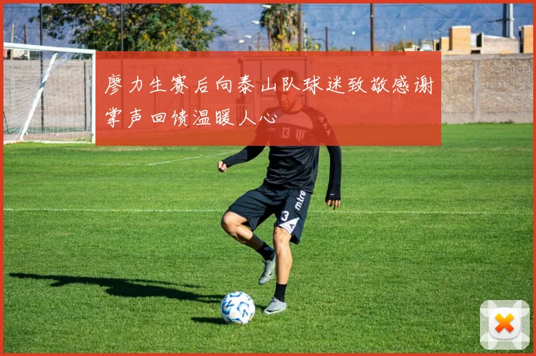 廖力生赛后向泰山队球迷致敬感谢掌声回馈温暖人心